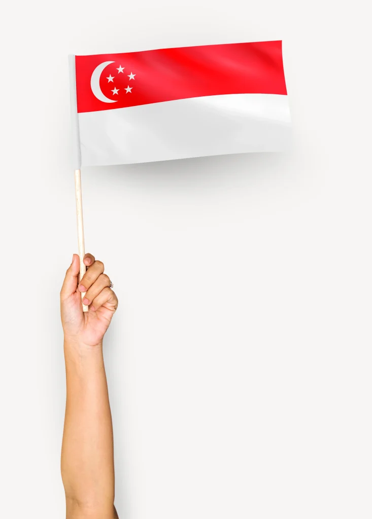 Person waving the Singapore flag